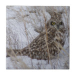 B11 Kurz gezüchtetes Schaf Fliese<br><div class="desc">Kurz gezogene Eule-Tile.</div>