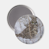 B11 Kurz gezüchtetes Schaf Magnet (Vorderseite/Rückseite)