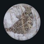 B11 Kurz gezüchtetes Schaf Magnet<br><div class="desc">Kurz gezogenes Schälmagnet.</div>