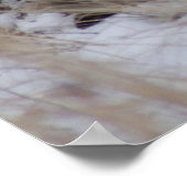 B11 Kurz gezüchtetes Schaf Poster (Ecke)