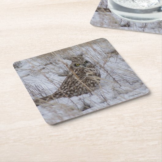 B11 Kurz gezüchtetes Schaf Rechteckiger Pappuntersetzer (angewinkelt)