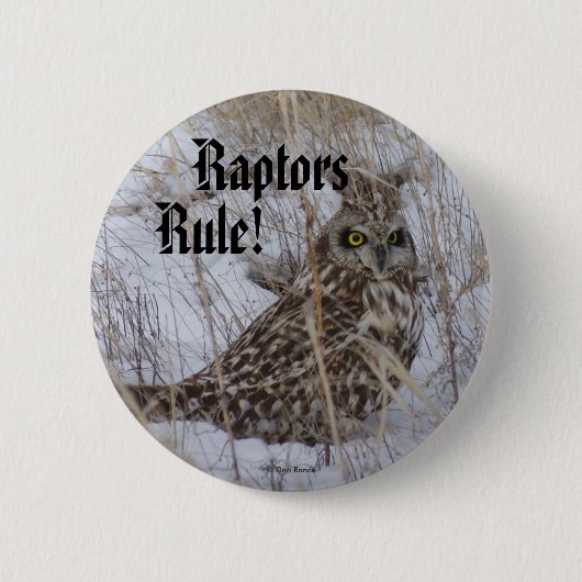 B11 Sumpfohreule Button (Vorderseite)