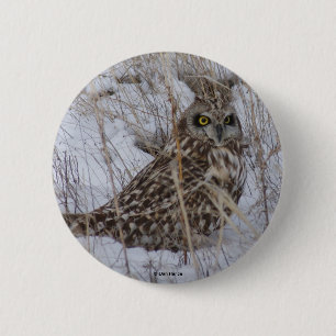B11 Sumpfohreule Button