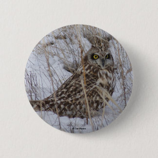 B11 Sumpfohreule Button