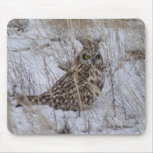 B11 Sumpfohreule Mousepad