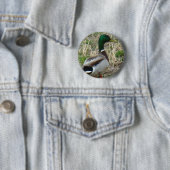 B12 Mallard Duck Drake Button (Beispiel)