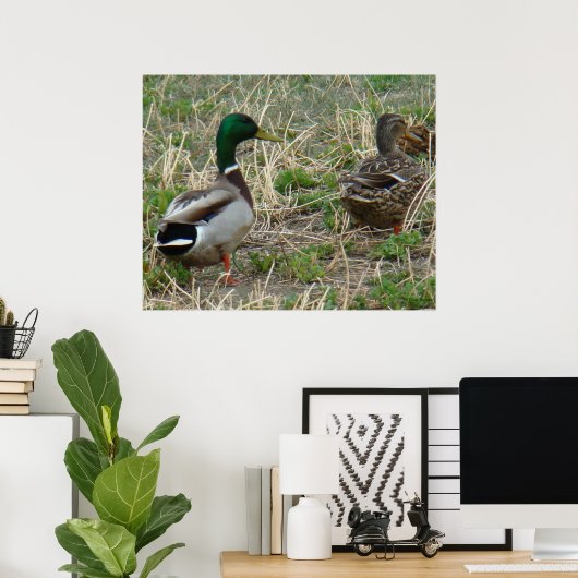 B12 Mallard Ducks Pair Poster (Heimbüro)