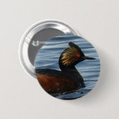 B13 Eared Grebe Button (Vorne & Hinten)