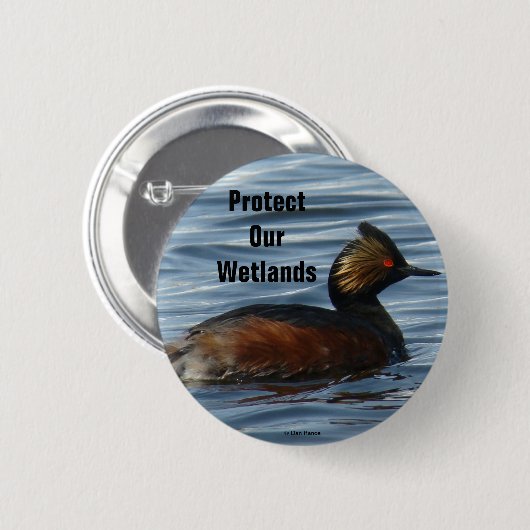 B13 Eared Grebe Button (Vorne & Hinten)