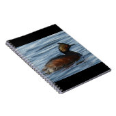 B13 Eared Grebe Notizblock (Rechte Seite)