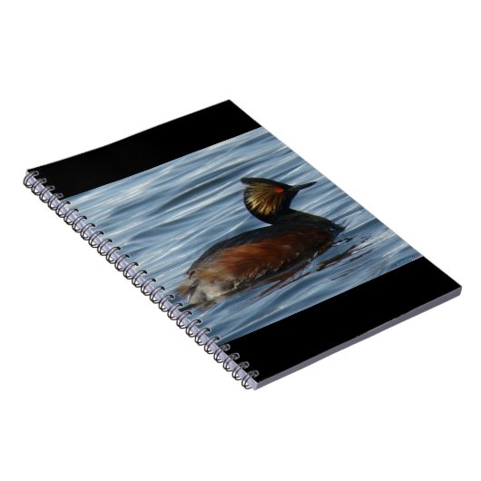 B13 Eared Grebe Notizblock (Rechte Seite)