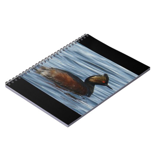 B13 Eared Grebe Notizblock (Linke Seite)