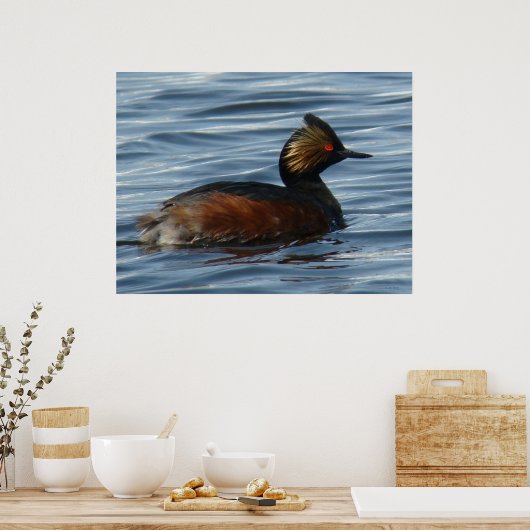 B13 Eared Grebe Poster (Küche)