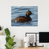B13 Eared Grebe Poster (Heimbüro)