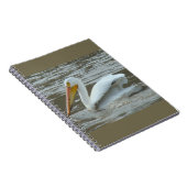 B14 White Pelican on Muddy River Notizblock (Rechte Seite)