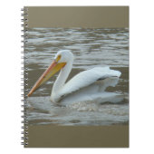 B14 White Pelican on Muddy River Notizblock (Vorderseite)