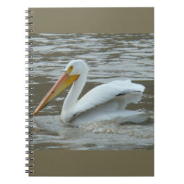 B14 White Pelican on Muddy River Notizblock