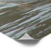 B14 White Pelican on Muddy River Poster (Ecke)