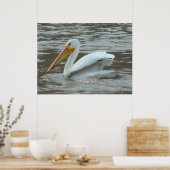 B14 White Pelican on Muddy River Poster (Küche)