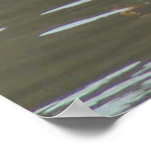 B15 White Pelican am Muddy River Poster (Ecke)