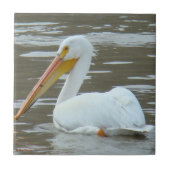 B15 White Pelican on Muddy Water Fliese (Vorderseite)
