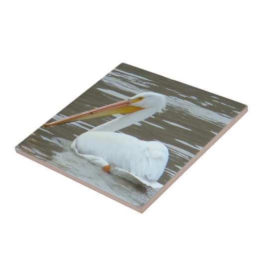 B15 White Pelican on Muddy Water Fliese (Seite)