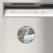 B15 White Pelican on Muddy Water Magnet (In Situ (Geschirrspüler))