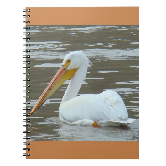 B15 White Pelican on Muddy Water Notizblock (Vorderseite)