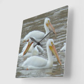 B16 Weiße Pelikane auf dem Muddy River Quadratische Wanduhr (Winkel)