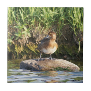 B18 Kleinere Prüfung Fliese