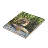 B18 Kleinere Prüfung Fliese (Seite)