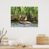 B18 Kleinere Prüfung Poster (Küche)