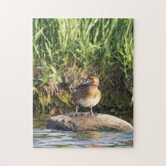 B18 Lesser Scaup Stehend Puzzle (Vertikal)