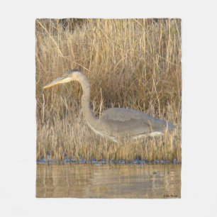 B19 Juvenile Great Blue Heron Fleecedecke