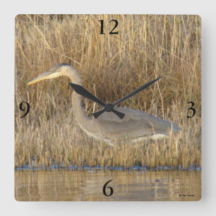 B19 Juvenile Great Blue Heron Quadratische Wanduhr