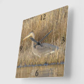 B19 Juvenile Great Blue Heron Quadratische Wanduhr (Winkel)