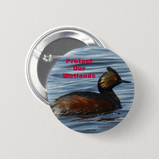 B1 Eared Grebe Button (Vorne & Hinten)