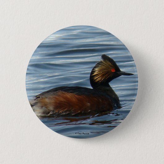 B1 Eared Grebe Button (Vorderseite)
