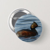 B1 Eared Grebe Button (Vorne & Hinten)