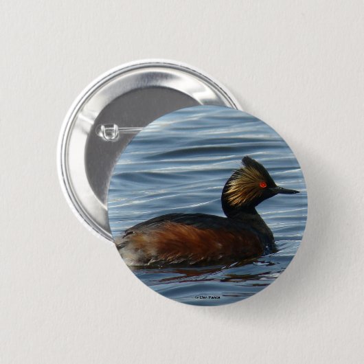 B1 Eared Grebe Button (Vorne & Hinten)