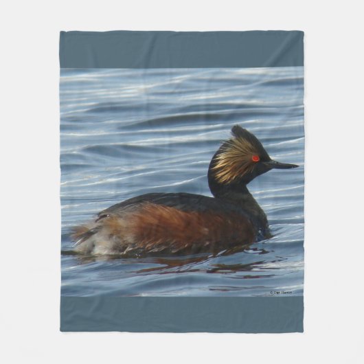B1 Eared Grebe Fleecedecke (Vorderseite)