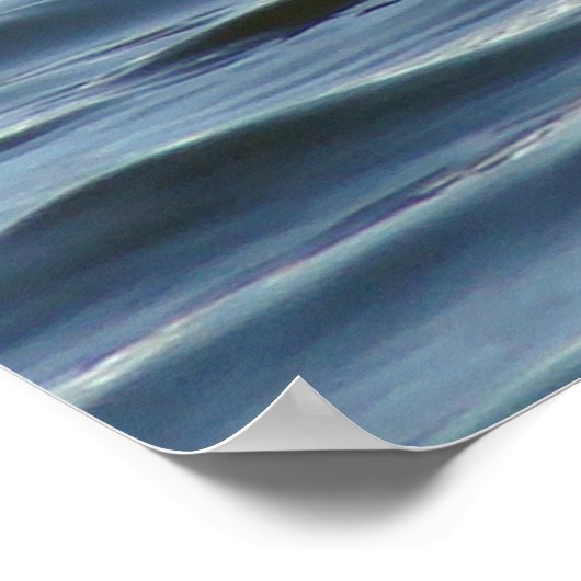 B1 Eared Grebe Poster (Ecke)