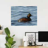 B1 Eared Grebe Poster (Heimbüro)