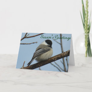 B21 Black Capped Chickadee Feiertagskarte