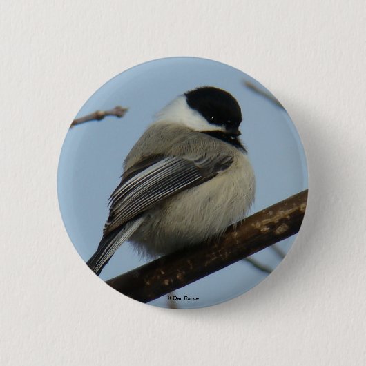 B21 Chickadee Button (Vorderseite)