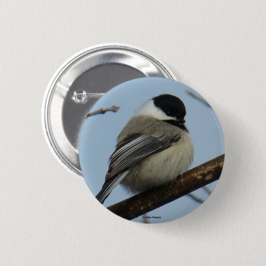 B21 Chickadee Button (Vorne & Hinten)