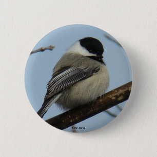 B21 Chickadee Button