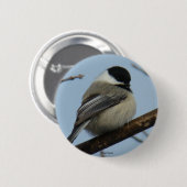 B21 Meise Button (Vorne & Hinten)