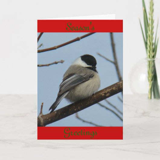 B21 Schwarze Chickade Feiertagskarte (Vorderseite)
