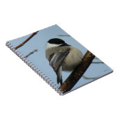 B21 Schwarze Chickade Notizblock (Rechte Seite)